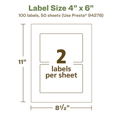 Avery EcoFriendly Laser/Inkjet Rectangle Multipurpose Labels, 4" x 6", White, 100/Box (94278)