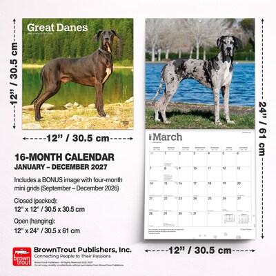 2027 BrownTrout Great Danes 12" x 12" Monthly Wall Calendar (9798330714216)