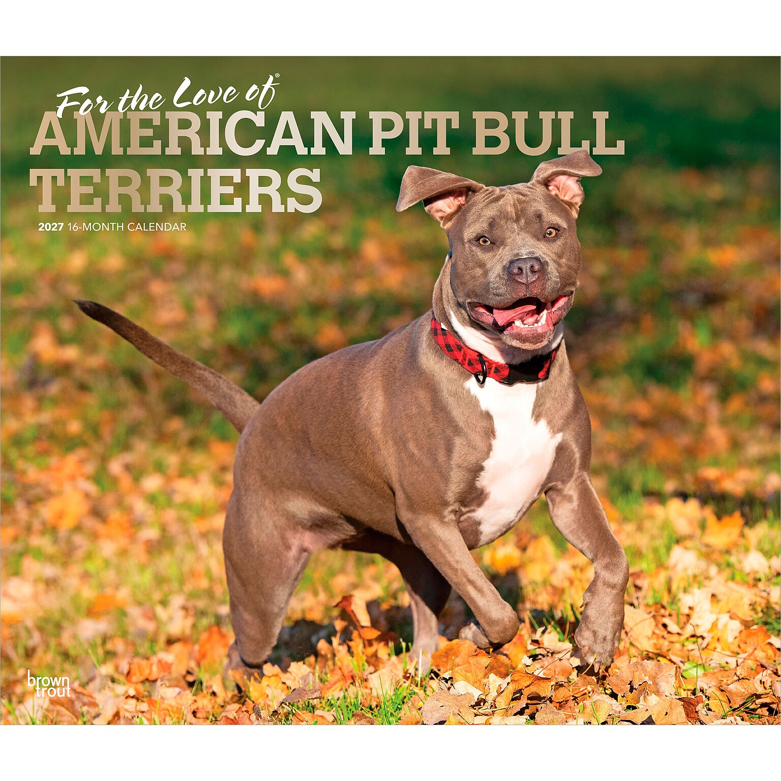 2027 BrownTrout For the Love of American Pit Bull Terriers 14 x 12 Monthly Wall Calendar, Assorted Colors (9798330714759)
