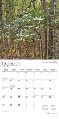 2026 BrownTrout Alabama Wild & Scenic 12" x 12" Monthly Wall Calendar (9798330702022)