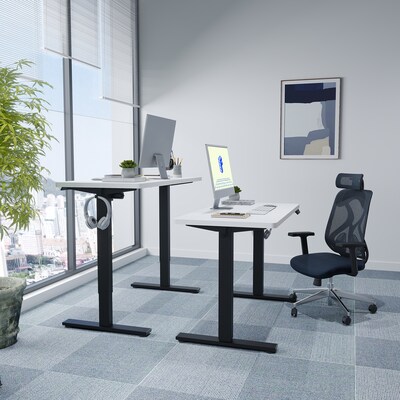 FlexiSpot E2 48''W Electric Adjustable Standing Desk, White/Black (E2B4824W)