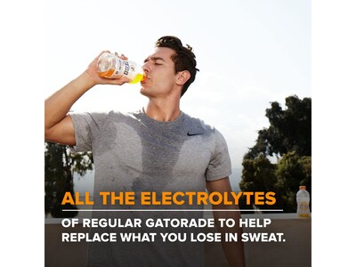 Gatorade Zero Sugar-Free Assorted Flavors Hydration Drink, 20 oz., 12 Bottles/Carton (05887)