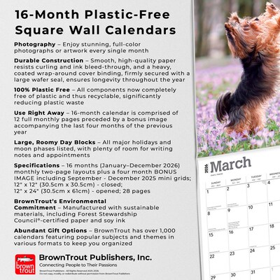2026 BrownTrout Yorkshire Terriers 12" x 12" Monthly Wall Calendar (9798330706464)