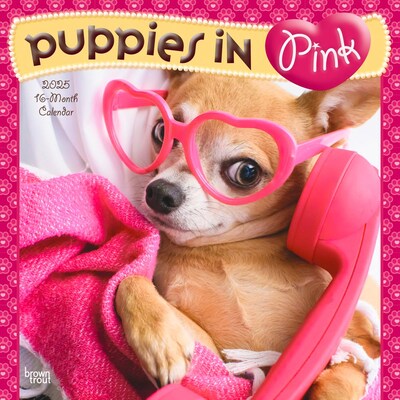 2025 BrownTrout Puppies in Pink 12 x 12 Monthly  Wall Calendar (9781975483166)