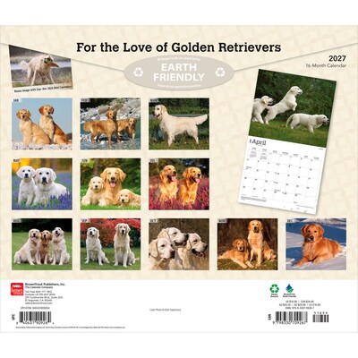 2027 BrownTrout For the Love of Golden Retrievers 14 x 12 Monthly Wall Calendar, Assorted Colors (9798330709267)