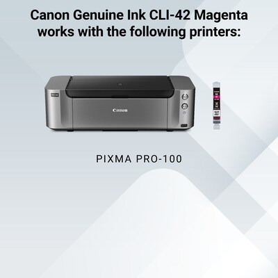 Canon 42 Magenta Standard Yield Ink Cartridge   (6386B002)