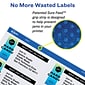 Avery Removable Laser/Inkjet Identification Labels, 1" Dia., White, 63 Labels/Sheet, 15 Sheets/Pack (6450)