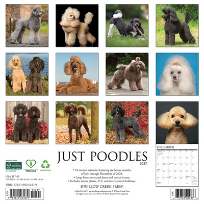 2027 Willow Creek Poodles 12 x 12 Monthly Wall Calendar, Assorted Colors (61879)