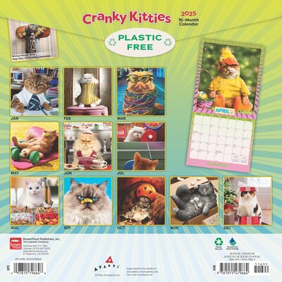 2025 BrownTrout Avanti Cranky Kitties  12" x 12" Monthly Square Wall Calendar (9781975479664)