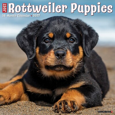 2027 Willow Creek Rottweiler Puppies 12 x 12 Monthly Wall Calendar, Assorted Colors (62098)
