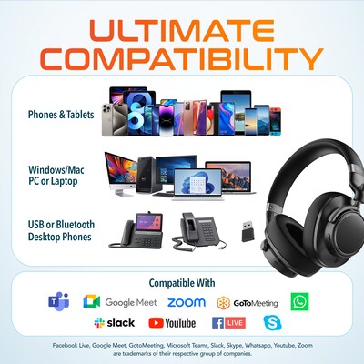 Delton M201 Wireless Active Noise Cancelling Bluetooth Stereo Business Computer Headset, Black (DBHM201D)