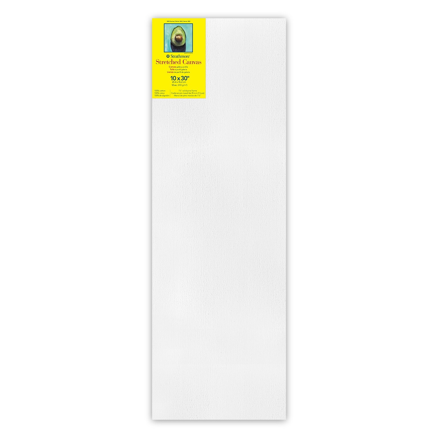 Strathmore 300 Series Primed Gallery Stretched Canvas, 10 x 30 (STT31413)