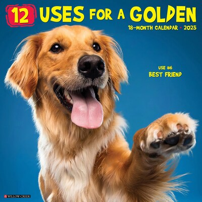 2025 Willow Creek 12 Uses for a Golden 12 x 12 Monthly Wall Calendar, Multicolor (41178)