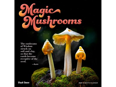 2024 Brush Dance Magic Mushrooms 12 x 12 Monthly Wall Calendar (9781975470104)