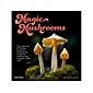 2024 Brush Dance Magic Mushrooms 12" x 12" Monthly Wall Calendar (9781975470104)