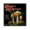 2024 Brush Dance Magic Mushrooms 12 x 12 Monthly Wall Calendar (9781975470104)