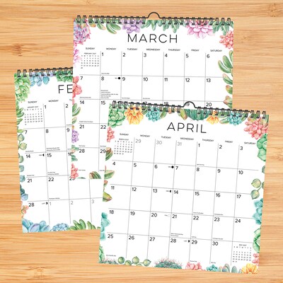 2027 Willow Creek Succulents 12" x 12" Monthly Wall Calendar, Assorted Colors (65617)