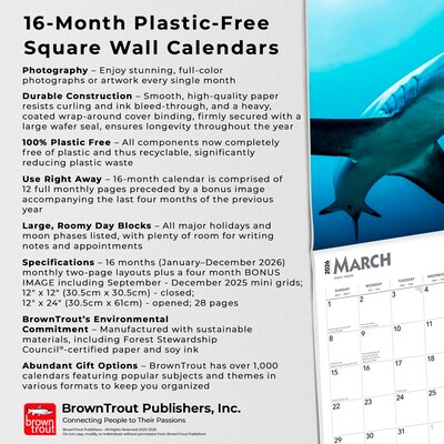 2026 BrownTrout Sharks 12" x 12" Monthly Wall Calendar (9798330705504)