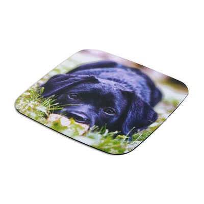Quill Brand® Fashion Mouse Pad, Puppy Dog