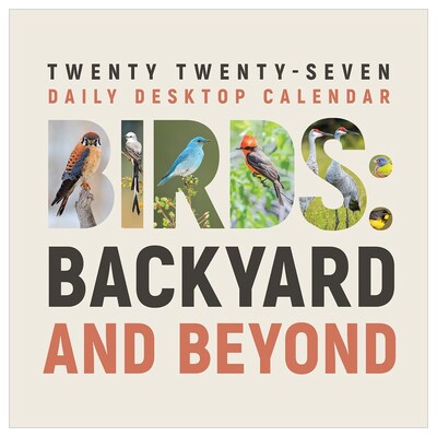 2027 TF Publishing Birds: Backyard 5.25" x 5.25" Daily Day-to-Day Calendar, Multicolored (27-3068)