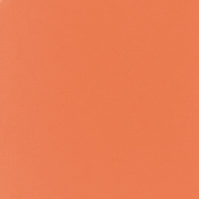 Carson Dellosa Education Rolled Scalloped Bulletin Board Border, 3" x 65', Mango, 3 Bundle (CD-108529-3)