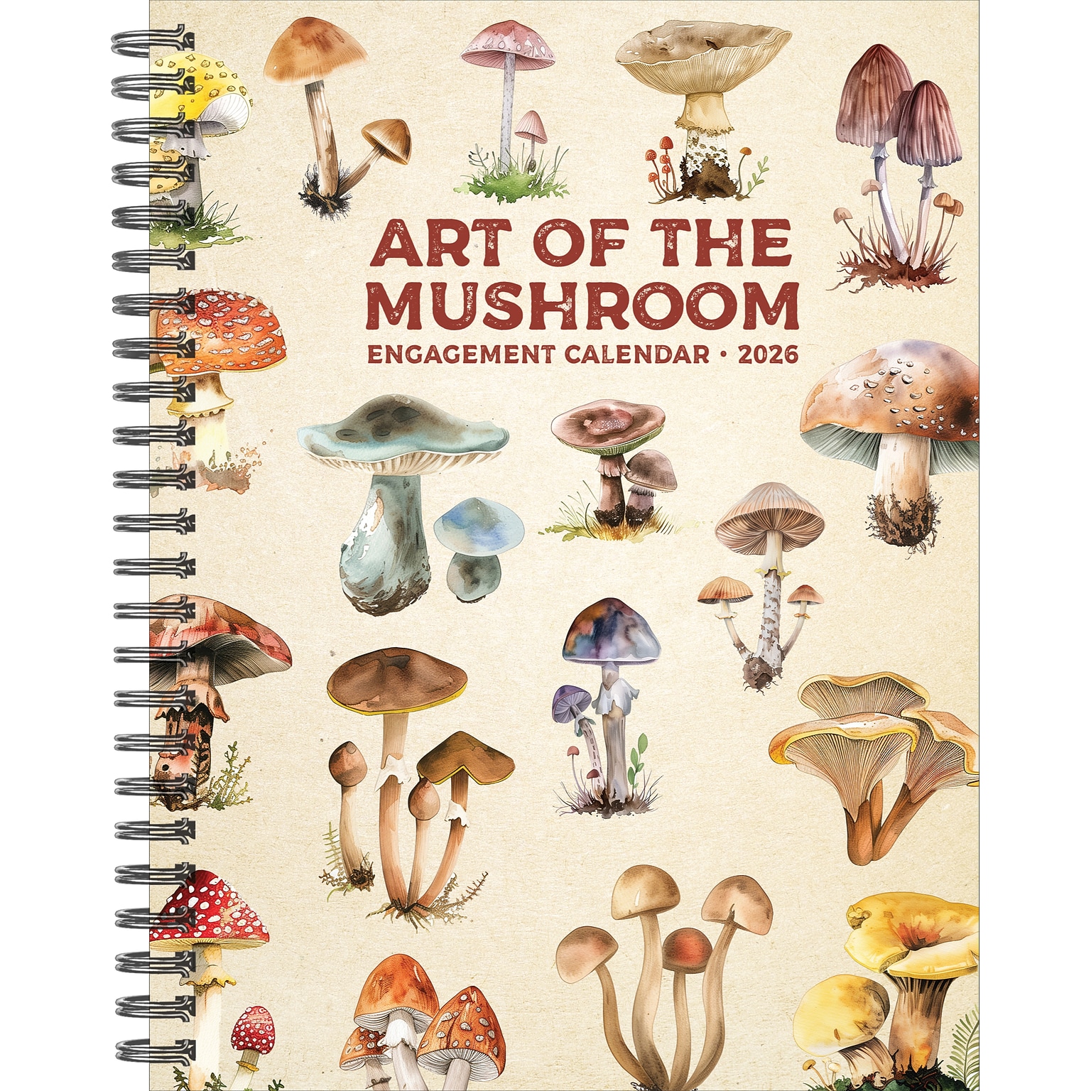 2026 Willow Creek Art of the Mushroom 6.5 x 8.5 Desk Calendar (54567)
