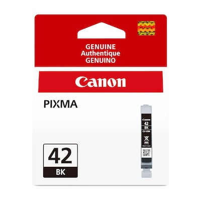 Canon 42 Black Standard Yield Ink Cartridge  (6384B002)