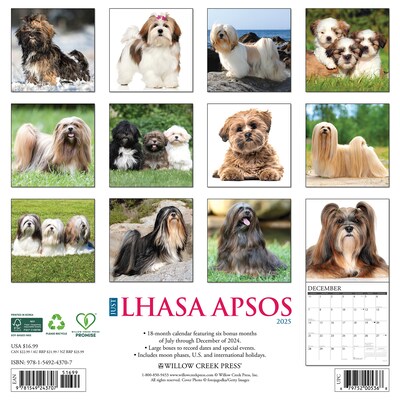 2025 Willow Creek Just Lhasa Apsos 12 x 12 Monthly Wall Calendar (43707)