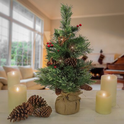 National Tree Company 24 Glistening Pine Small Tree with Pine Cones, Red Berries, and Twigs in a Bu