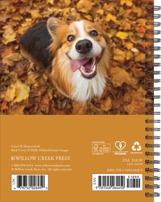 2027 Willow Creek What Dogs Teach Us 6.5 x 8.5 Weekly & Monthly Desk Calendar (64450)