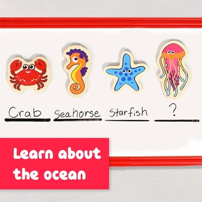Spark & Wow Sea Life Wooden Magnets, Assorted Colors, 2/Bundle (CTUSW400020-2)