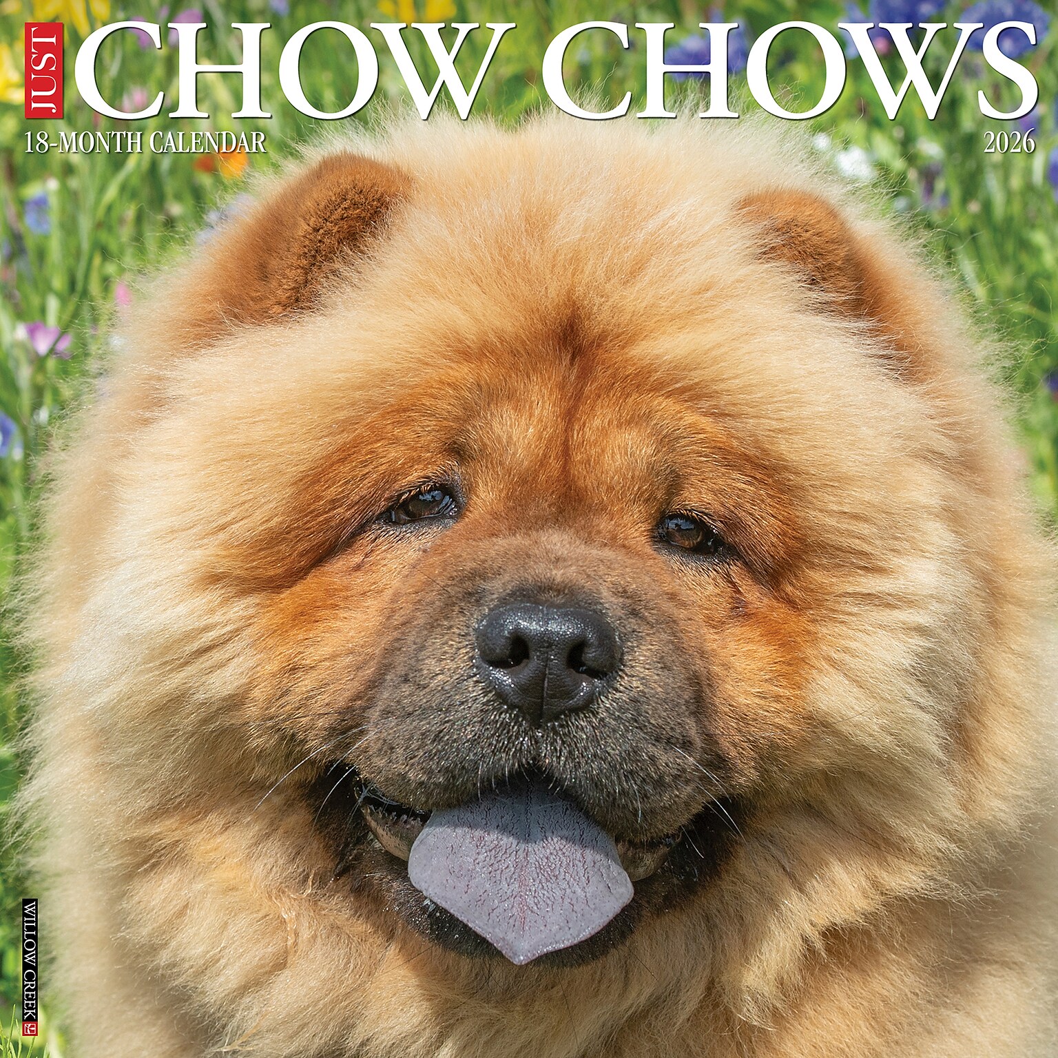 2026 Willow Creek Chow Chows 12 x 12 Monthly Dry Erase Wall Calendar (50712)