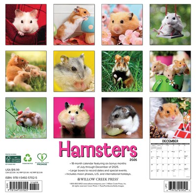 2026 Willow Creek Hamsters 12 x 12 Monthly Wall Calendar (57025)