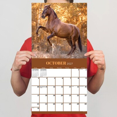 2027 TF Publishing Horses 12" x 12" Monthly Wall Calendar (27-1012)