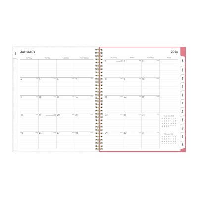 2026 Blue Sky Fly By 8.5" x 11"  Weekly & Monthly Planner, Plastic Cover, Multicolored (140195-26)