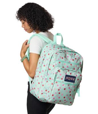 JanSport Big Student Laptop Backpack, Large, Apple Orchard (JS0A47JKA3D)