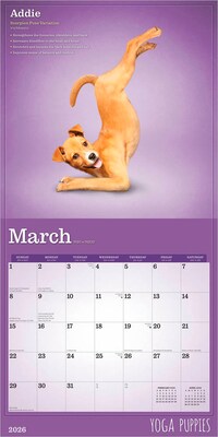 2026 Plato Yoga Puppies 12" x 12" Monthly Wall Calendar (9798330701995)