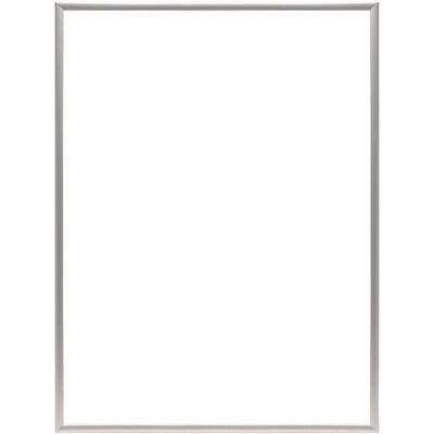 Staples 24" x 36" Plastic Poster Frame, Silver (PPFRM-2436-SLV)