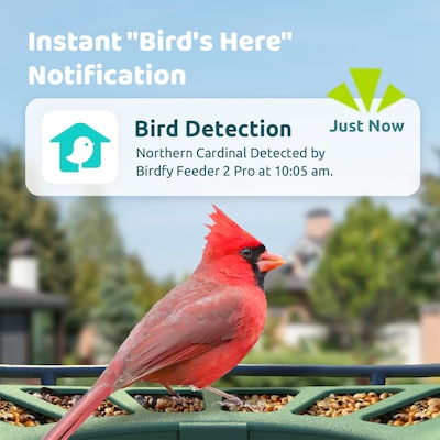 Birdfy Feeder 2 Pro with Dual-Lens Camera, Solar Panel and Free AI Lifetime Subscription, Green (EPPAMBNI8612100)
