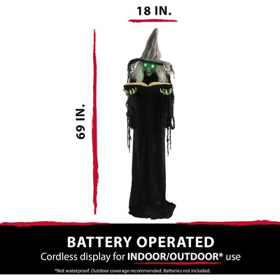 Haunted Hill Farm Life-Size Poseable Witch with Spell Book (HHWITCH-9FLS)