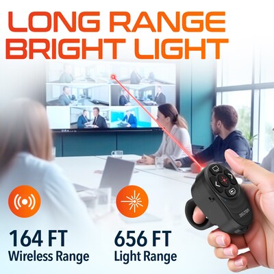 Delton P48 2.4GHz Wireless Presentation Finger Laser Pointer, Black (DLP48)