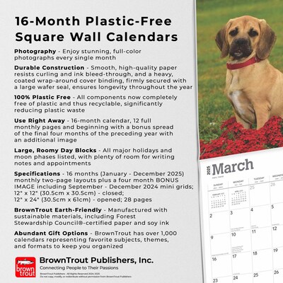 2025 BrownTrout Puggles 12" x 12" Monthly Square Wall Calendar (9781975477578)