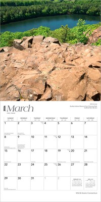 2026 BrownTrout Connecticut Wild & Scenic 12" x 12" Monthly Wall Calendar (9798330703029)