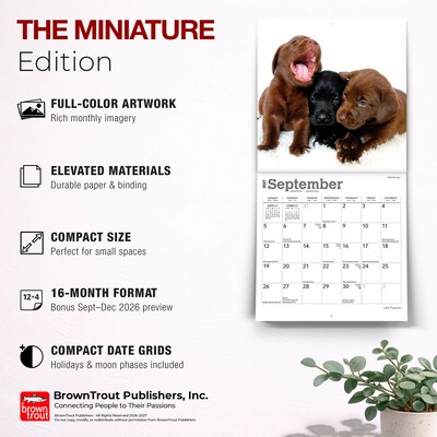 2027 BrownTrout Lab Puppies 7" x 7" Monthly Wall Calendar (9798330710027)