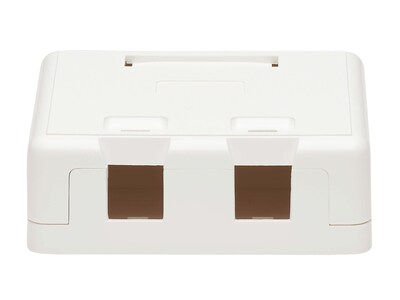Tripp Lite 2-Port Surface-Mount Box, White (N082-002-WH)