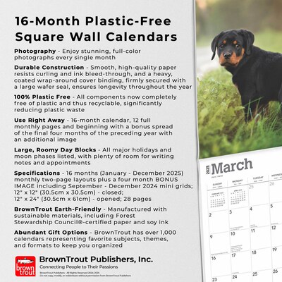 2025 BrownTrout Rottweilers 12" x 12" Monthly  Wall Calendar (9781975477646)