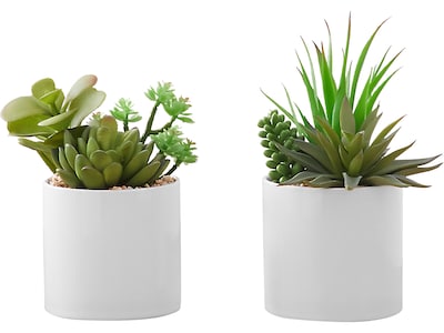 Monarch Specialties Inc. Succulents in Pots, 2/Pack (I 9588)