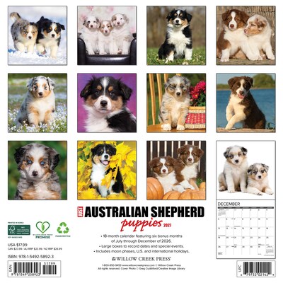 2027 Willow Creek Australian Shepherd Puppies 12 x 12 Monthly Wall Calendar, Assorted Colors (58923)