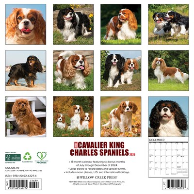 2025 Willow Creek Just Cavalier King Charles Spaniels 12 x 12 Monthly Wall Calendar (42274)