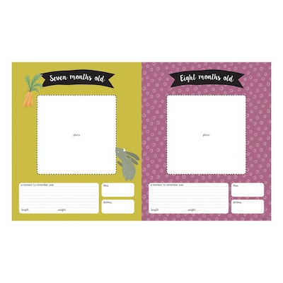 TF Publishing Baby 1st year 9 x 11 Undated Planner, Paperboard Cover, Multicolored (99-1022)